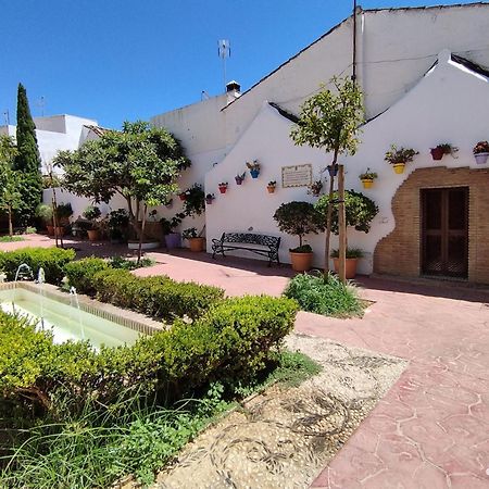 Puertosol 2 Apartment Естепона Екстериор снимка